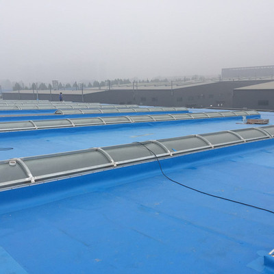 厂家直销大禹神工牌1.5mm-LTPO防水卷材 高性能建筑防水解决方案